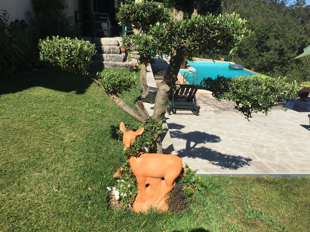 Quinta Paraiso Do Ermal Vieira do Minho Exterior foto